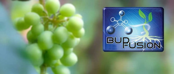 bud_fusion Bud Fusion bud and flower enhancer; banner.