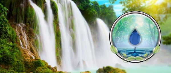 Typhoon Cleanse Nutrient flushl; banner